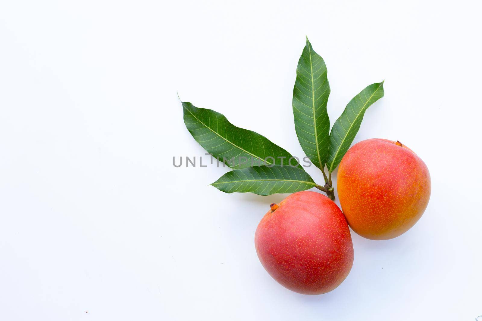 Tropical fruit, Mango  on white background.