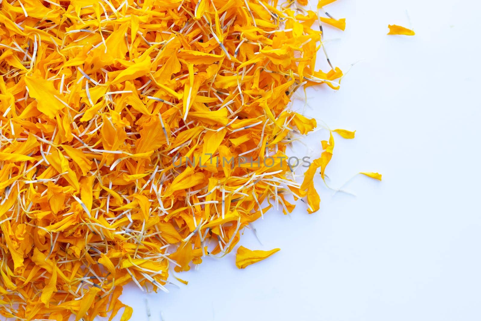 Petals of marigold flower on white background. by Bowonpat