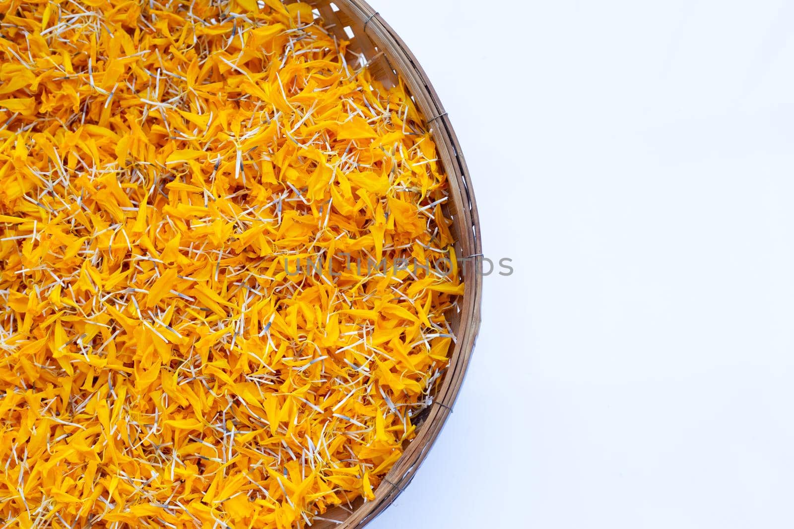 Petals of marigold flower on white background.