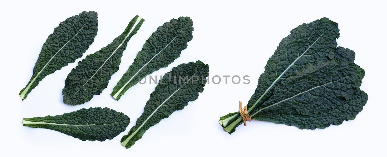 Fresh organic green kale leaves on white background.