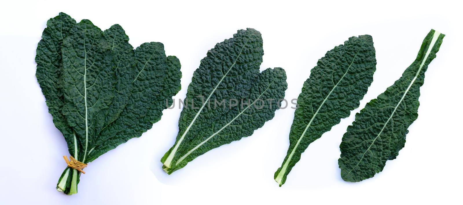 Fresh organic green kale leaves on white background.