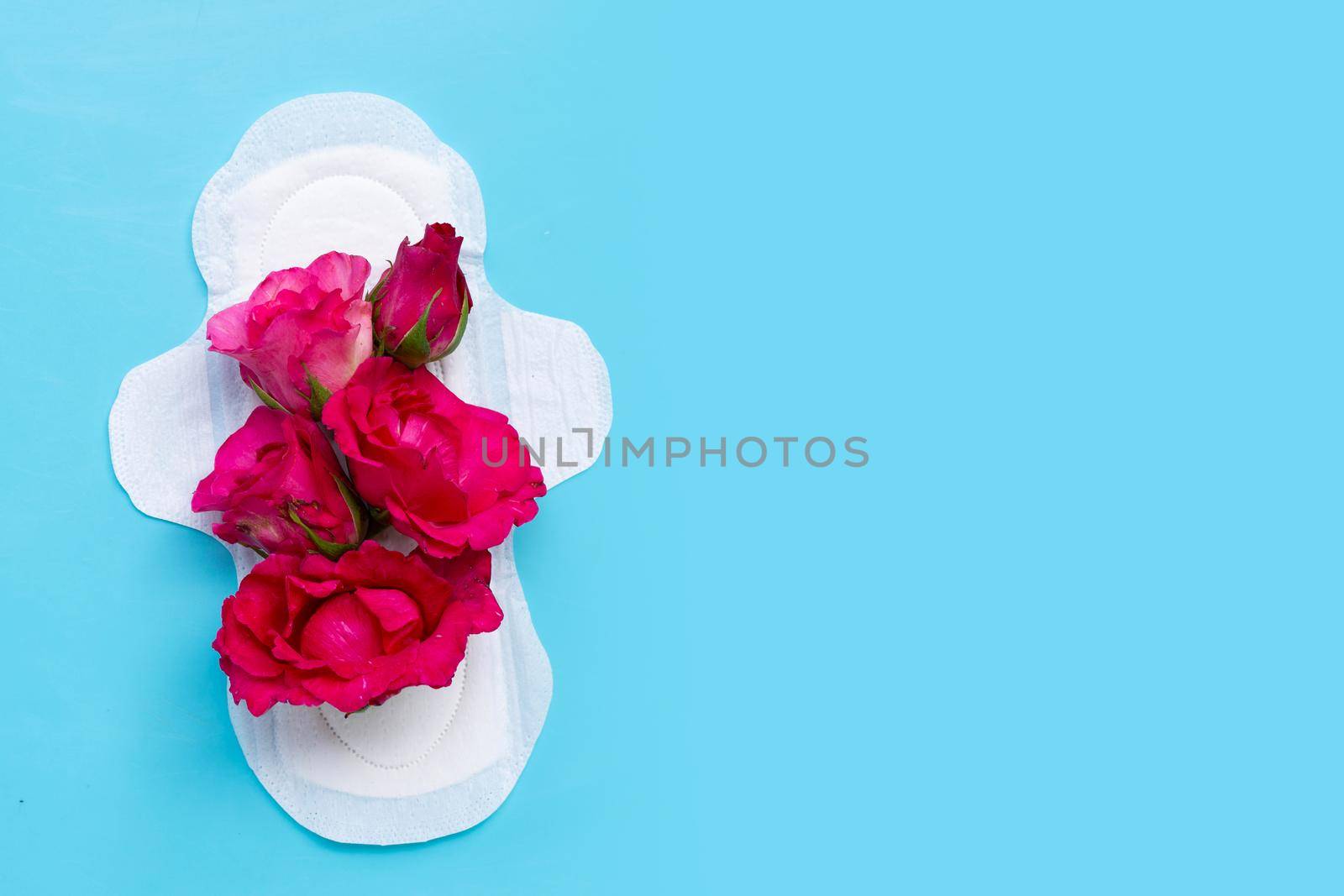 White sanitary napkin with red roses on blue background. Copy space by Bowonpat