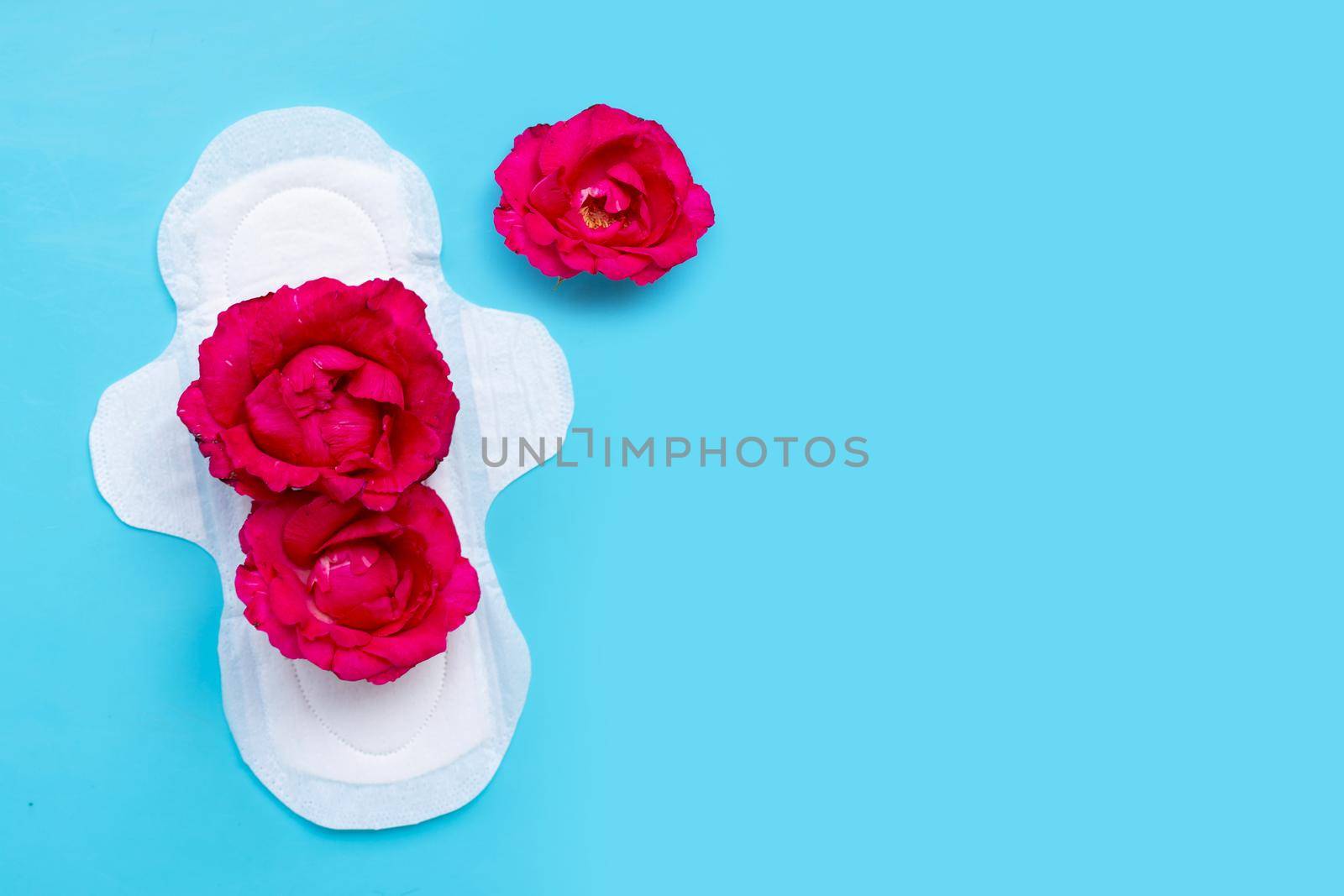 White sanitary napkin with red roses on blue background. Copy space
