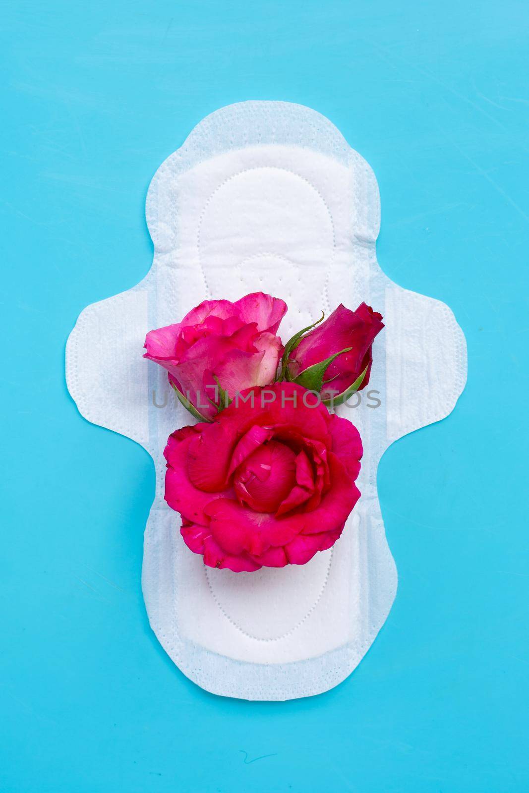 White sanitary napkin with red roses on blue background. Copy space by Bowonpat