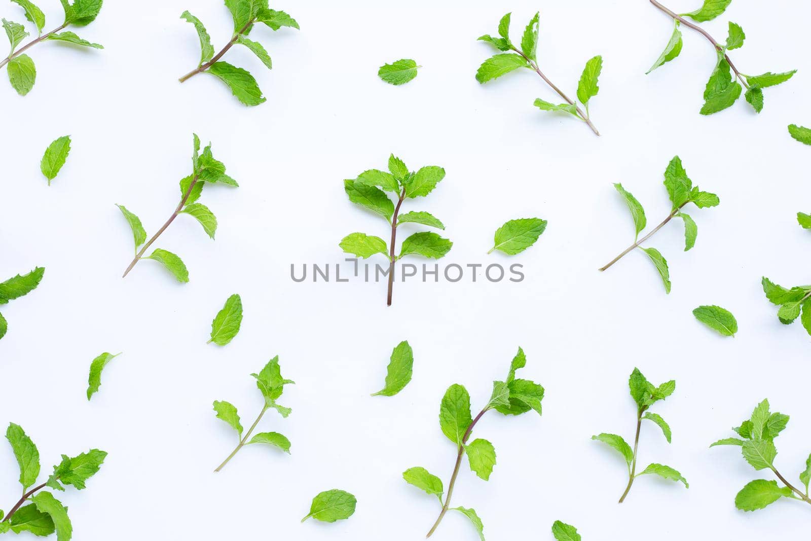 Fresh mint leaves on white background. Top view