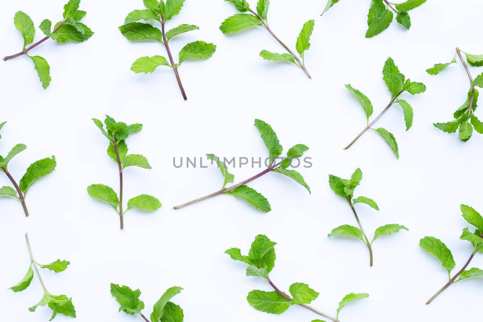 Fresh mint leaves on white background. Top view
