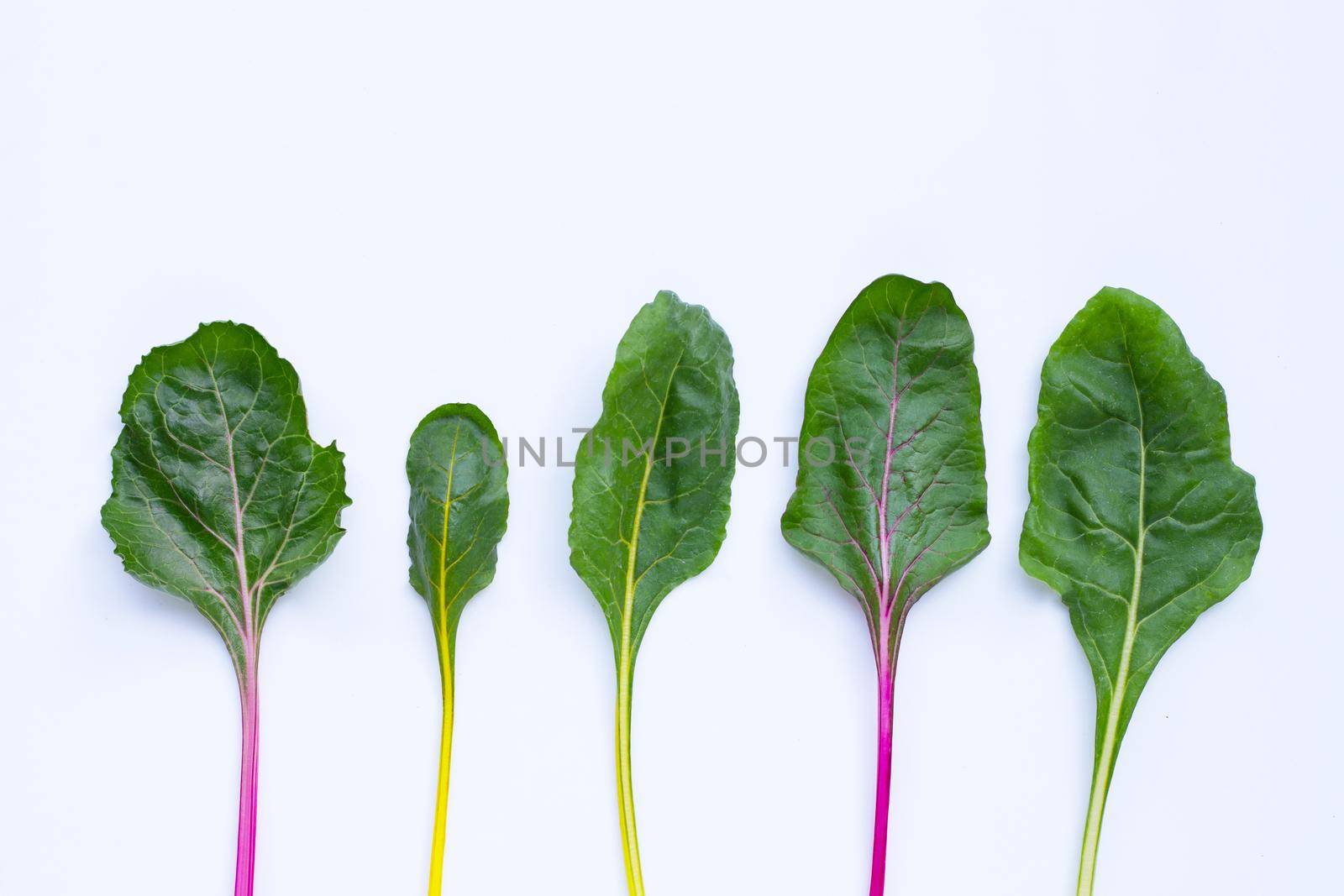 Fresh swiss chard on a white background