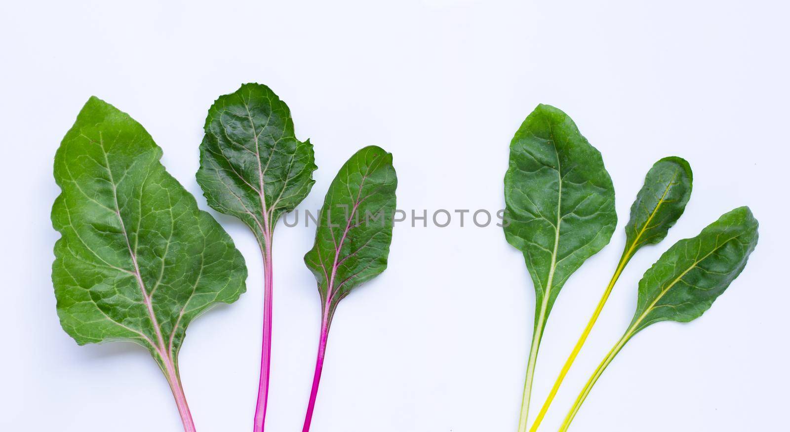 Fresh swiss chard on a white background