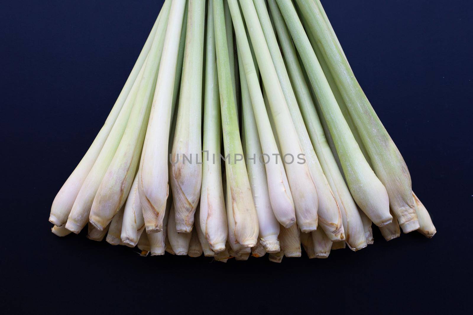 Fresh lemongrass on dark background.