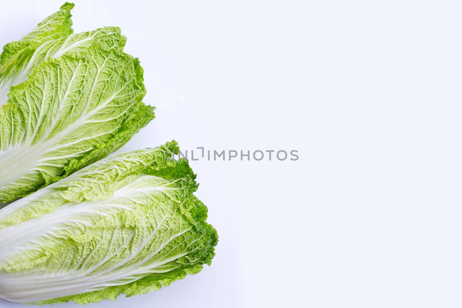 Chinese cabbage on white background. Copy space by Bowonpat