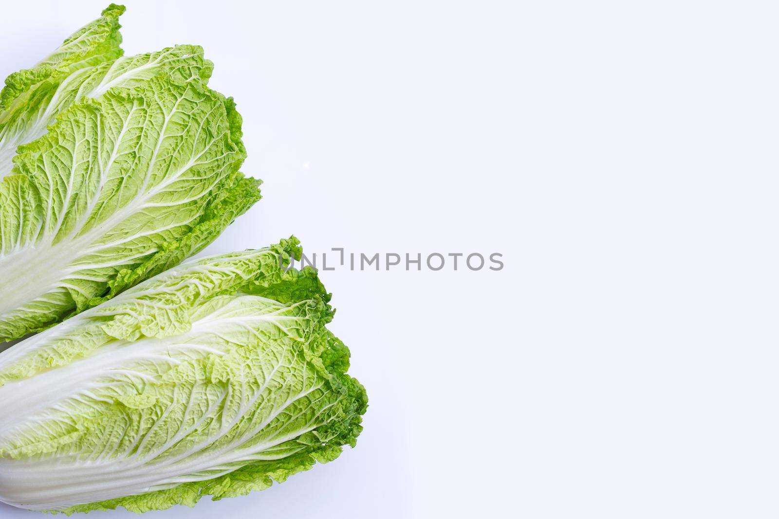 Chinese cabbage on white background. Copy space