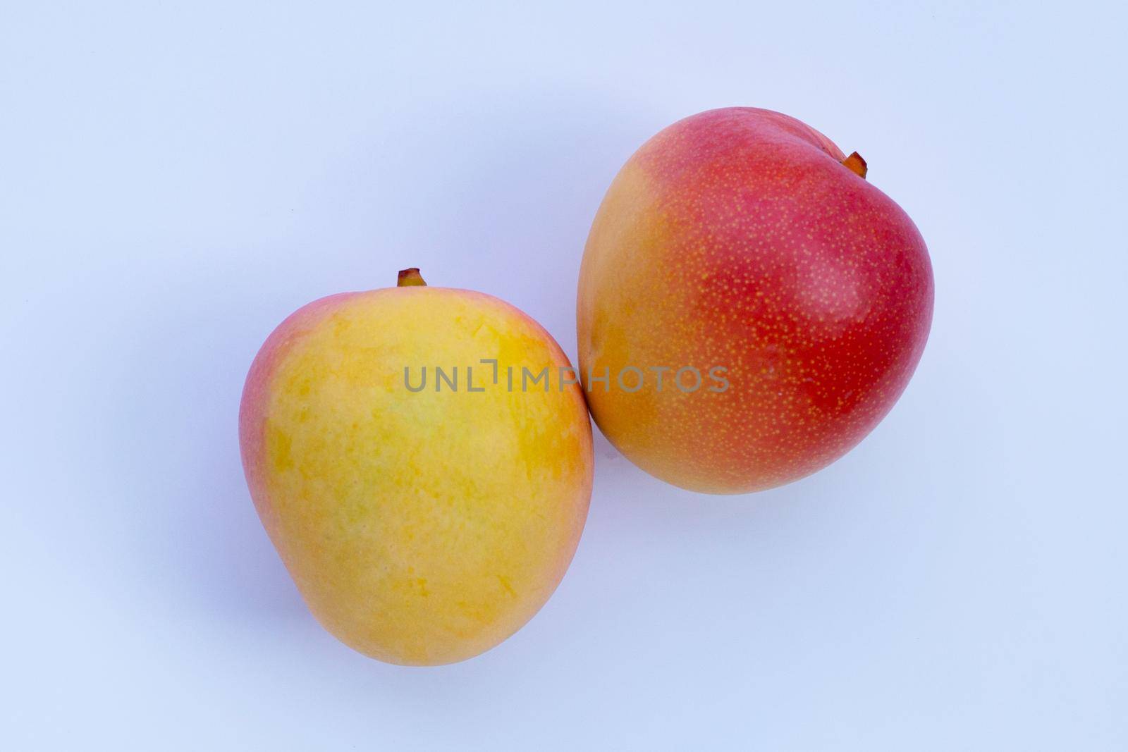 Tropical fruit, Mango  on white background.