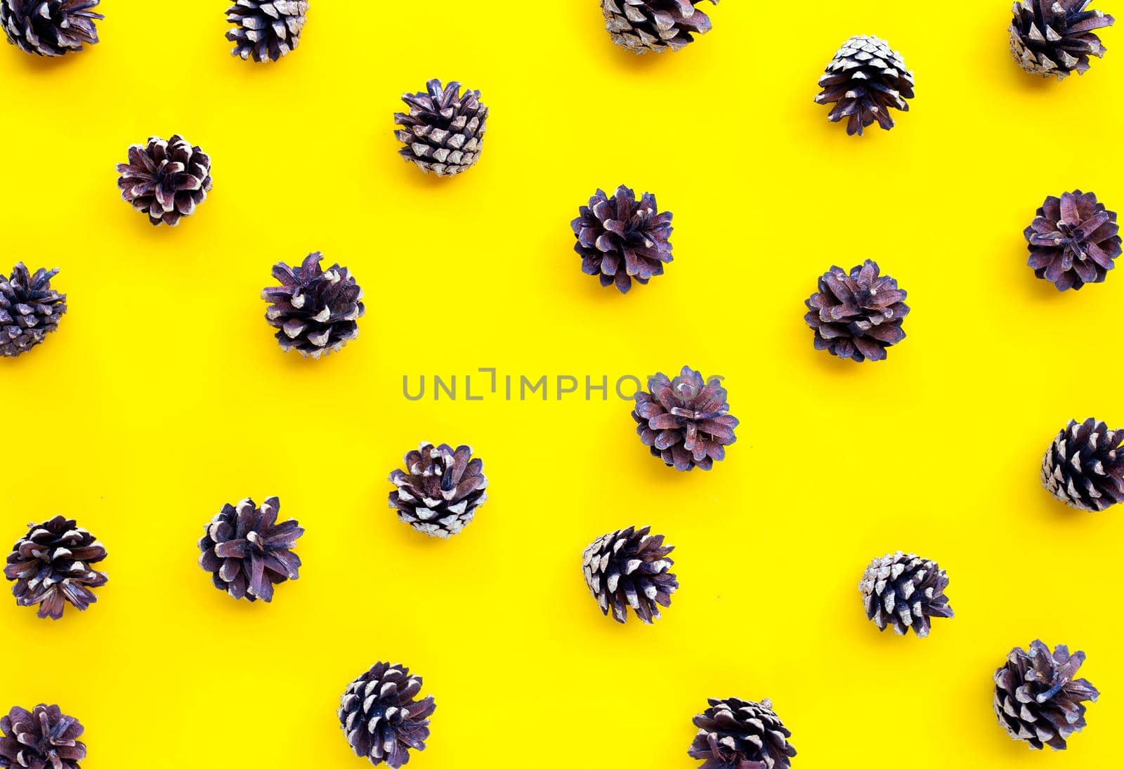 Pine cones isolated on yellow background.