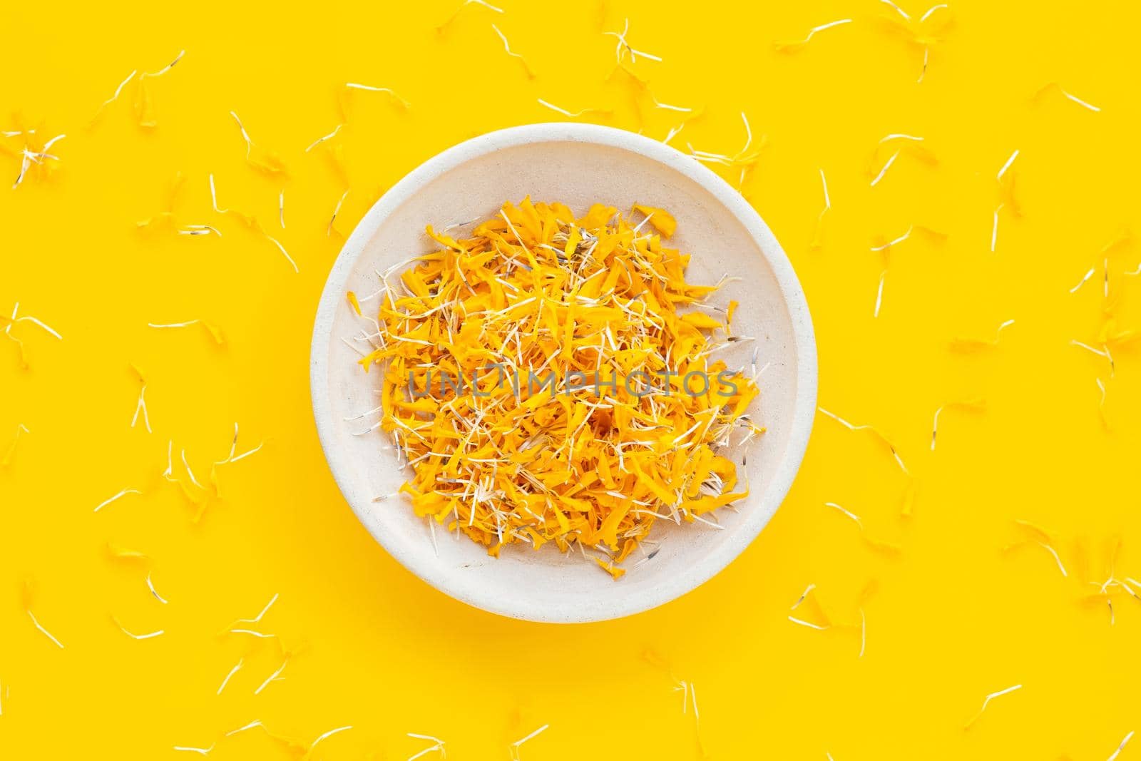 Petals of marigold flower on yellow background.