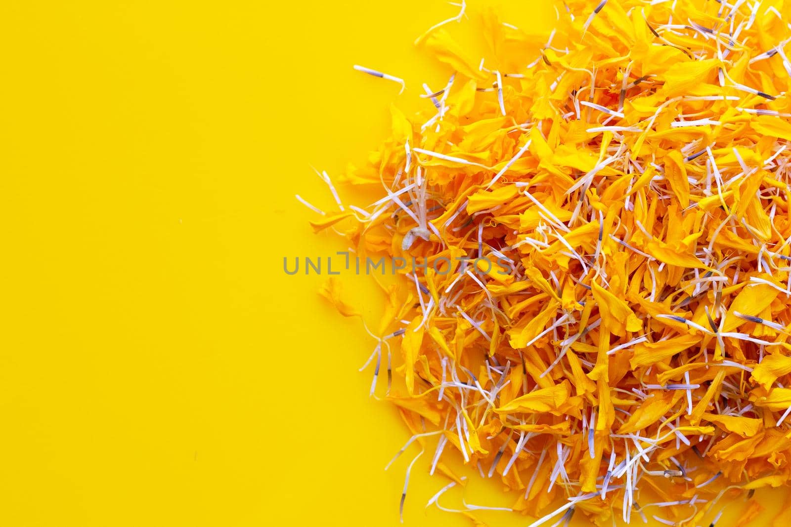 Petals of marigold flower on yellow background.