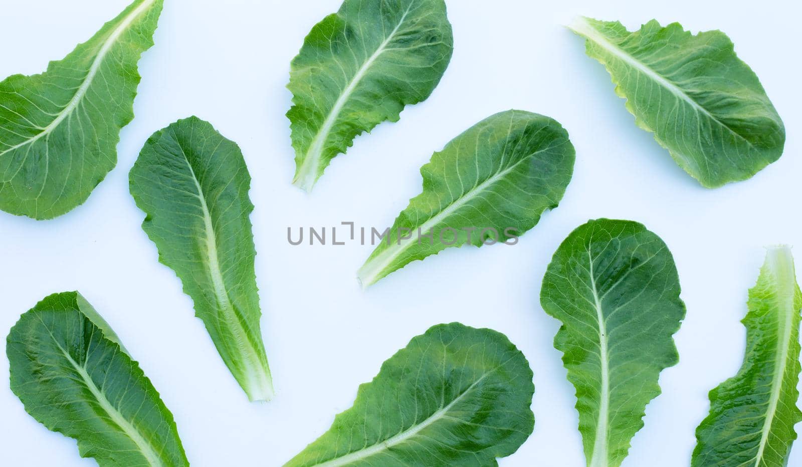 Lettuce leaves on white background. Top view