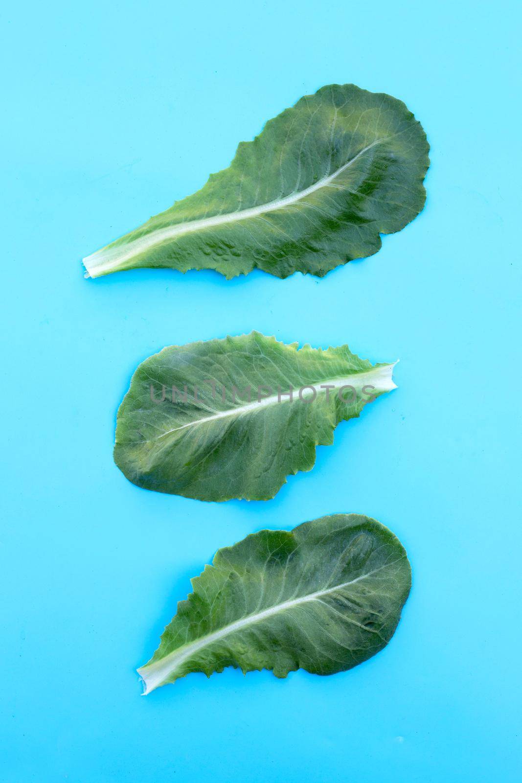 Lettuce leaves on blue background. Top view by Bowonpat