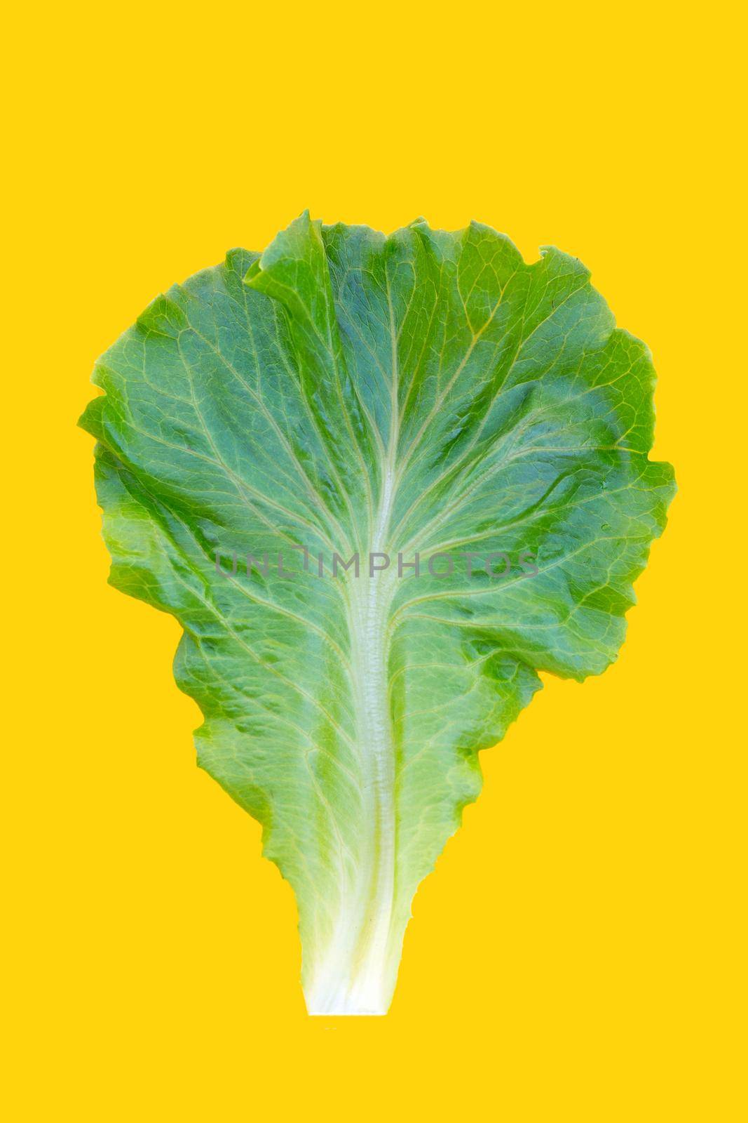 Lettuce leaf on yellow background. by Bowonpat