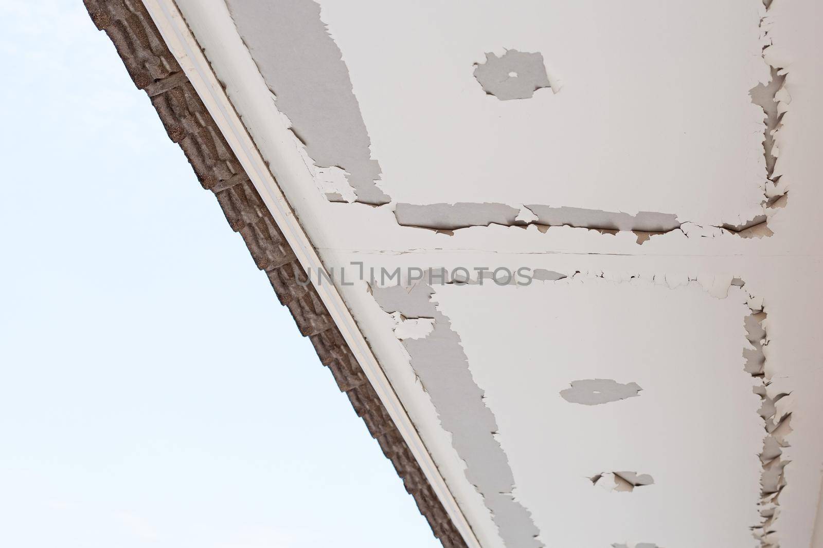 White color paint peeling off on ceiling house. Under the roof