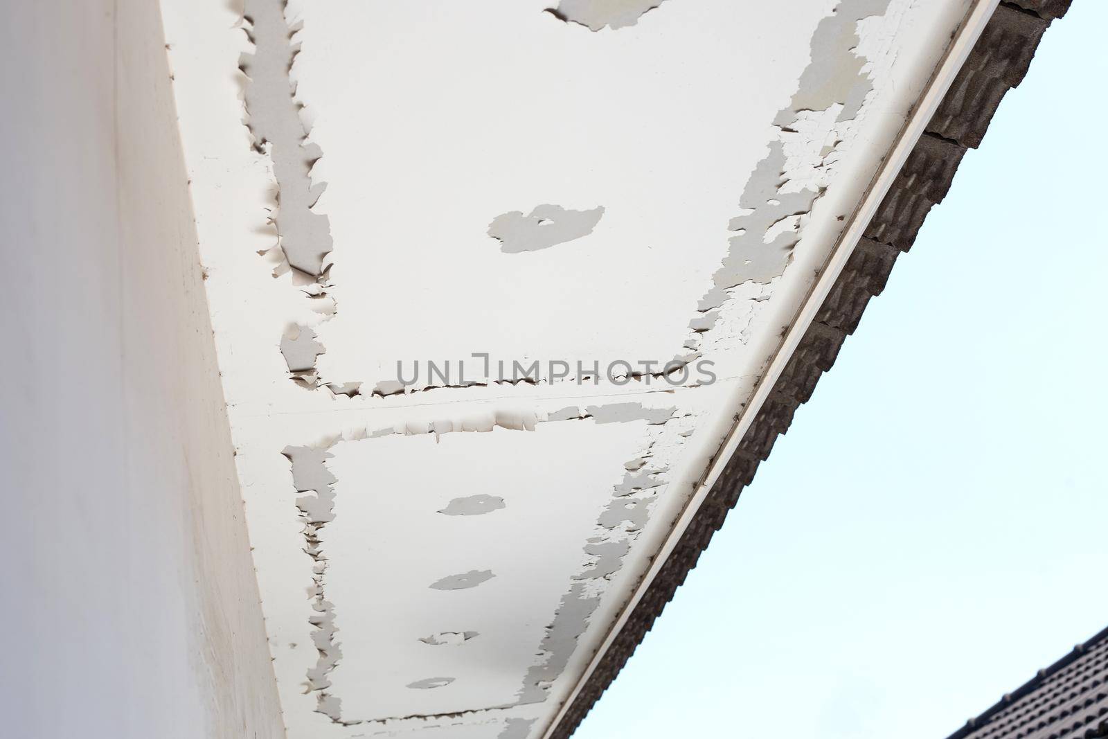 White color paint peeling off on ceiling house. Under the roof