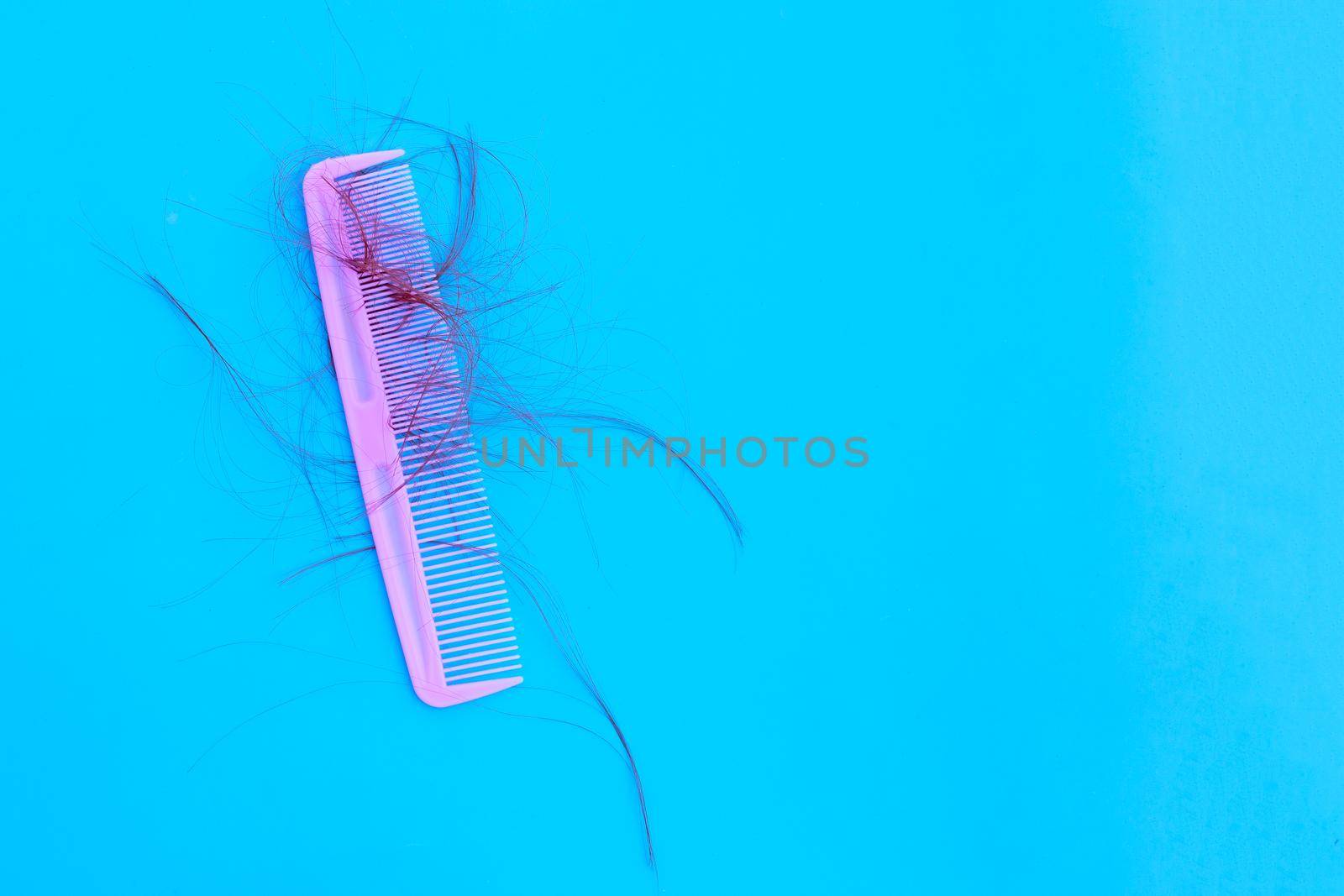 Hairs loss fall in comb on blue background.