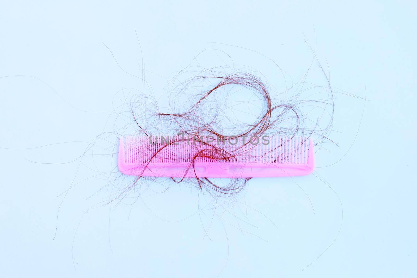 Hairs loss fall in comb on white background.
