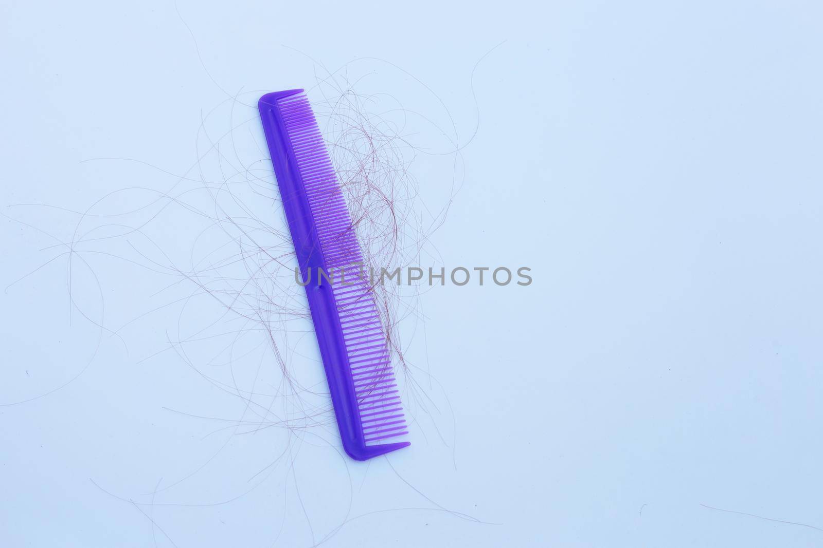 Hairs loss fall in comb on white background.
