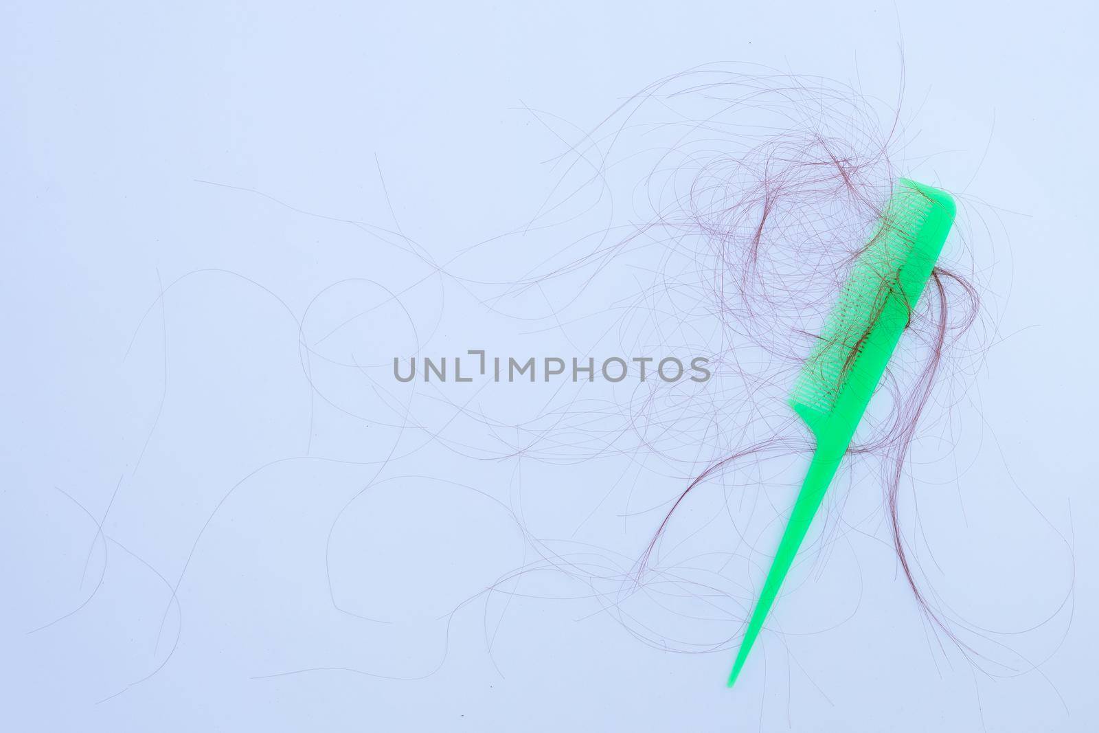 Hairs loss fall in comb on white background.