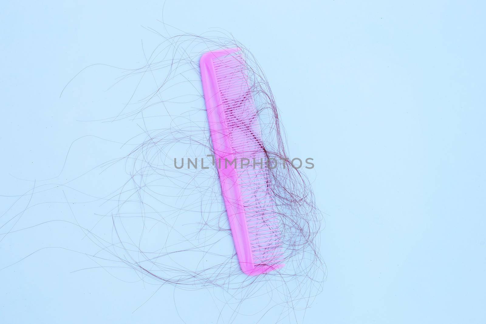 Hairs loss fall in comb on white background.