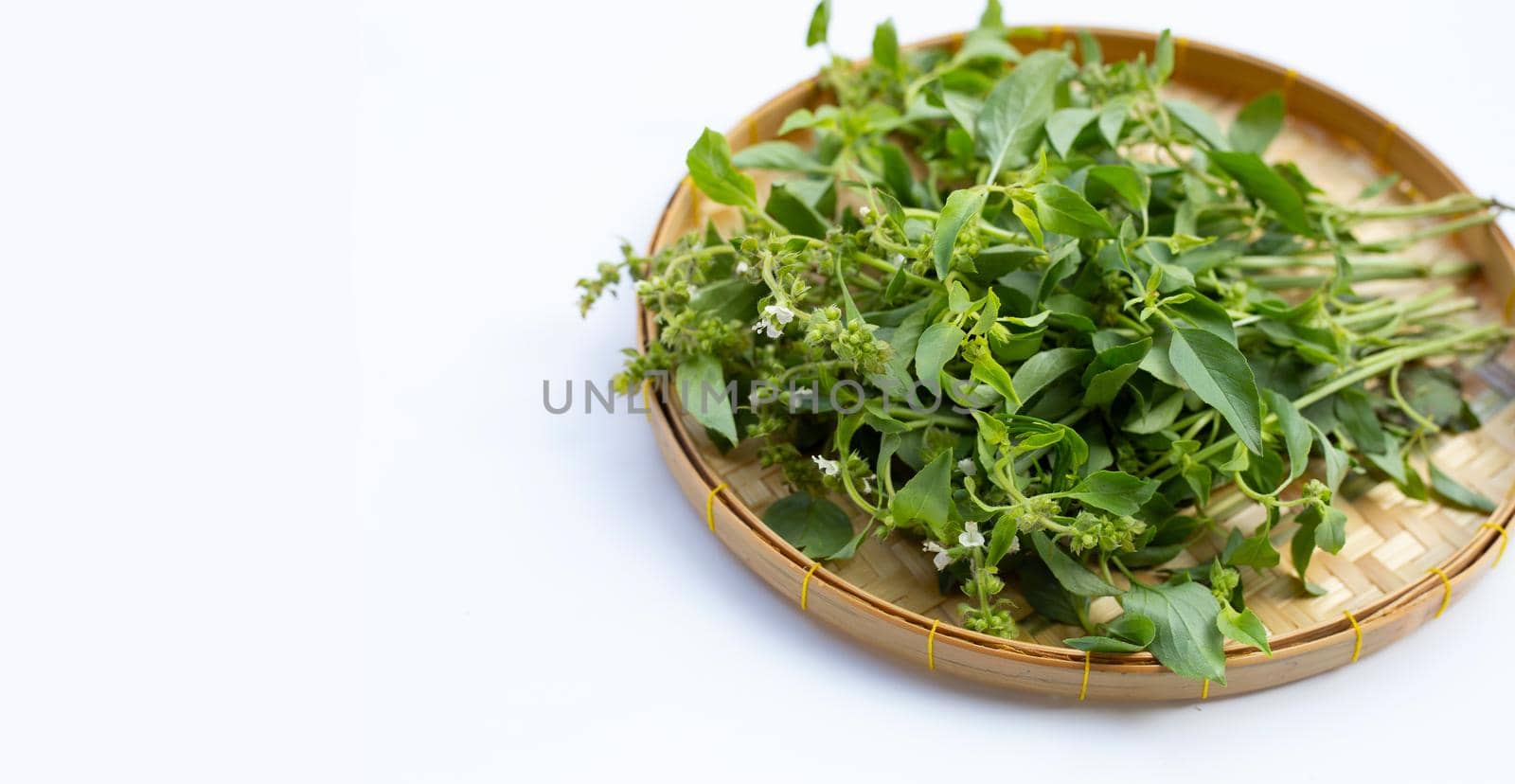 Hairy Basil in bamboo basket on white background.