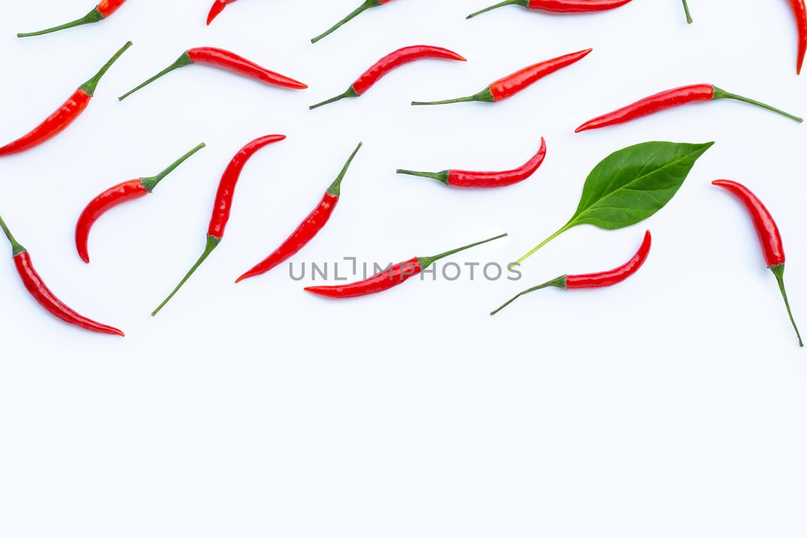 Hot chili peppers on white background. Top view