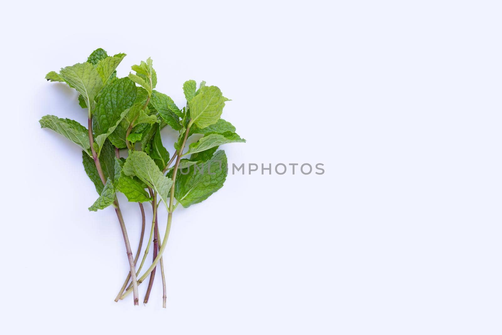 Fresh  mint leaves  on white background.