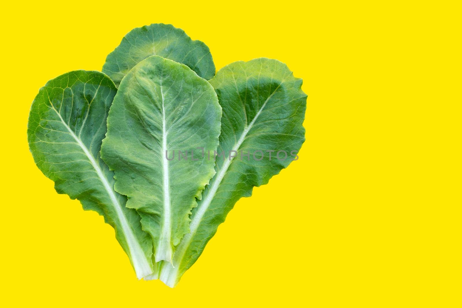 Lettuce leaves on yellow background. Top view