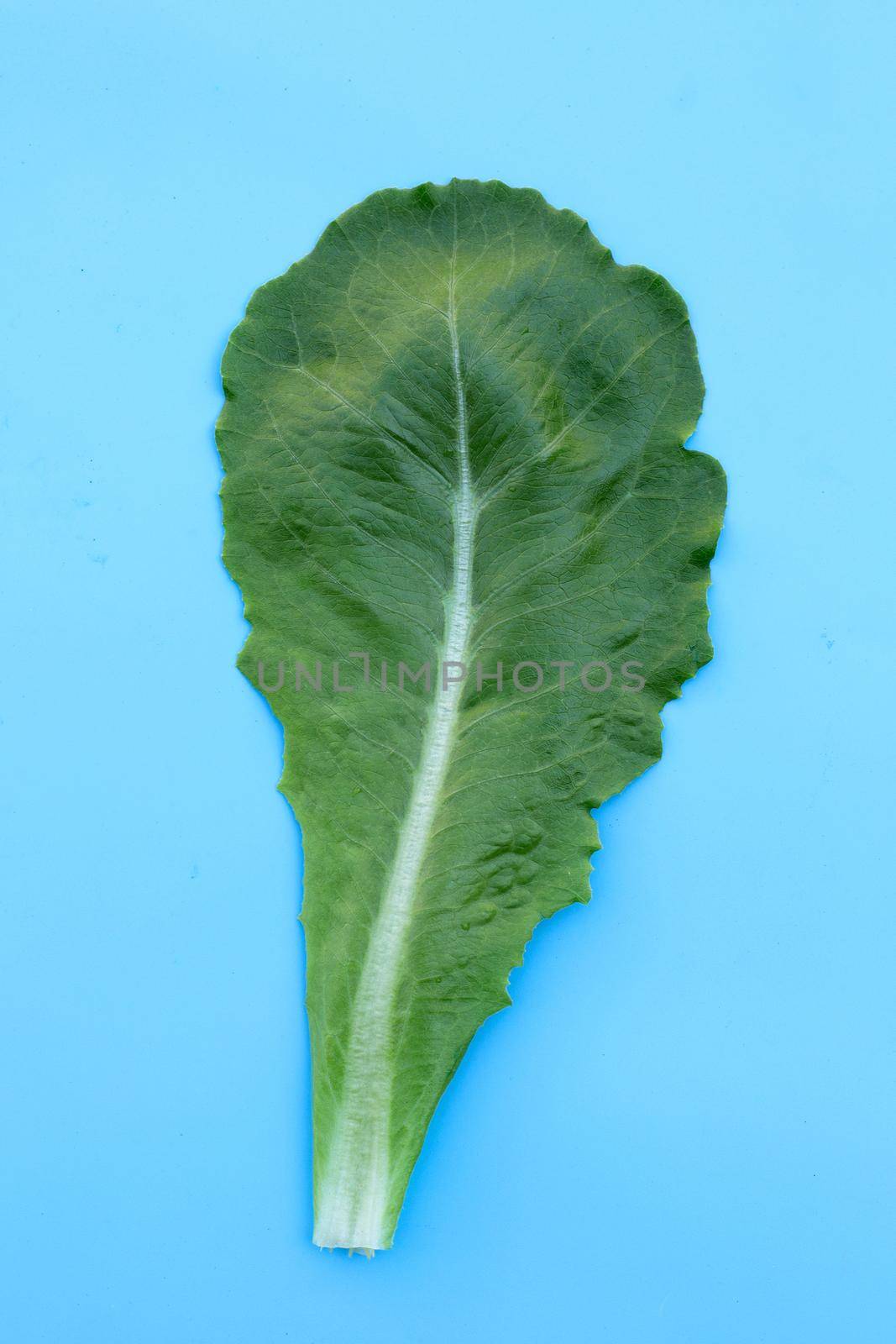 Lettuce leaf on blue background. Top view by Bowonpat