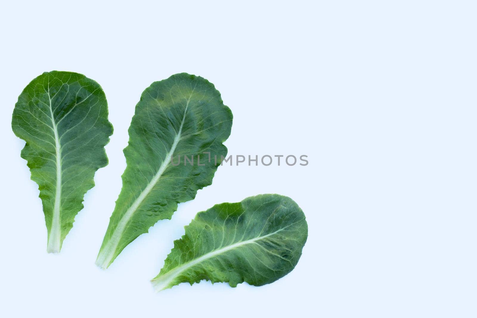 Lettuce leaves on white background. Top view