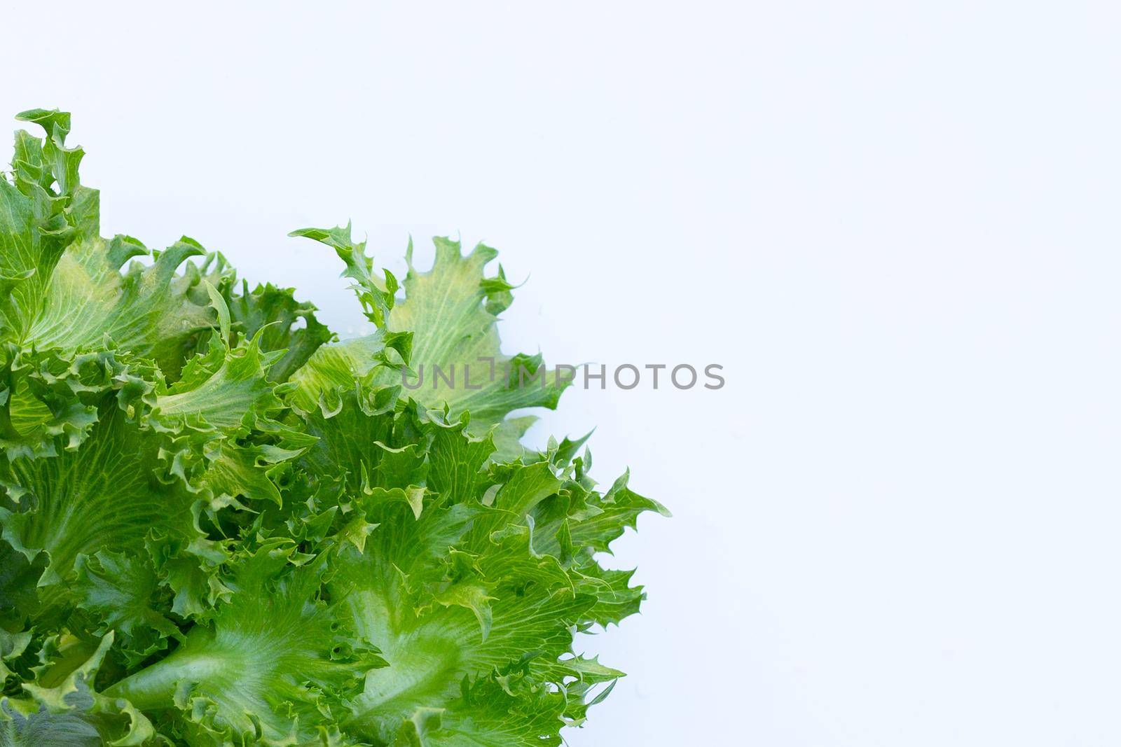 Fresh frillice iceberg lettuce on white background.
