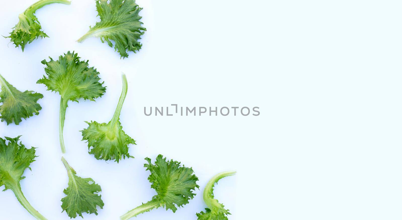 Fresh frillice iceberg lettuce on white background.