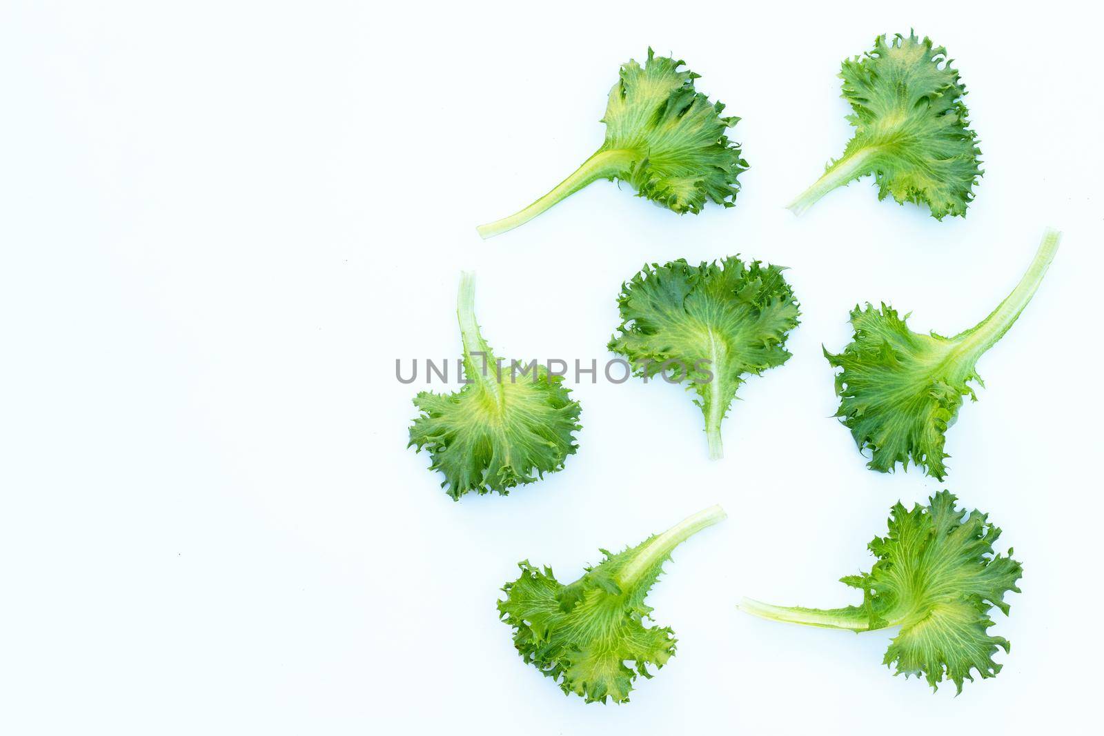 Fresh frillice iceberg lettuce on white background.