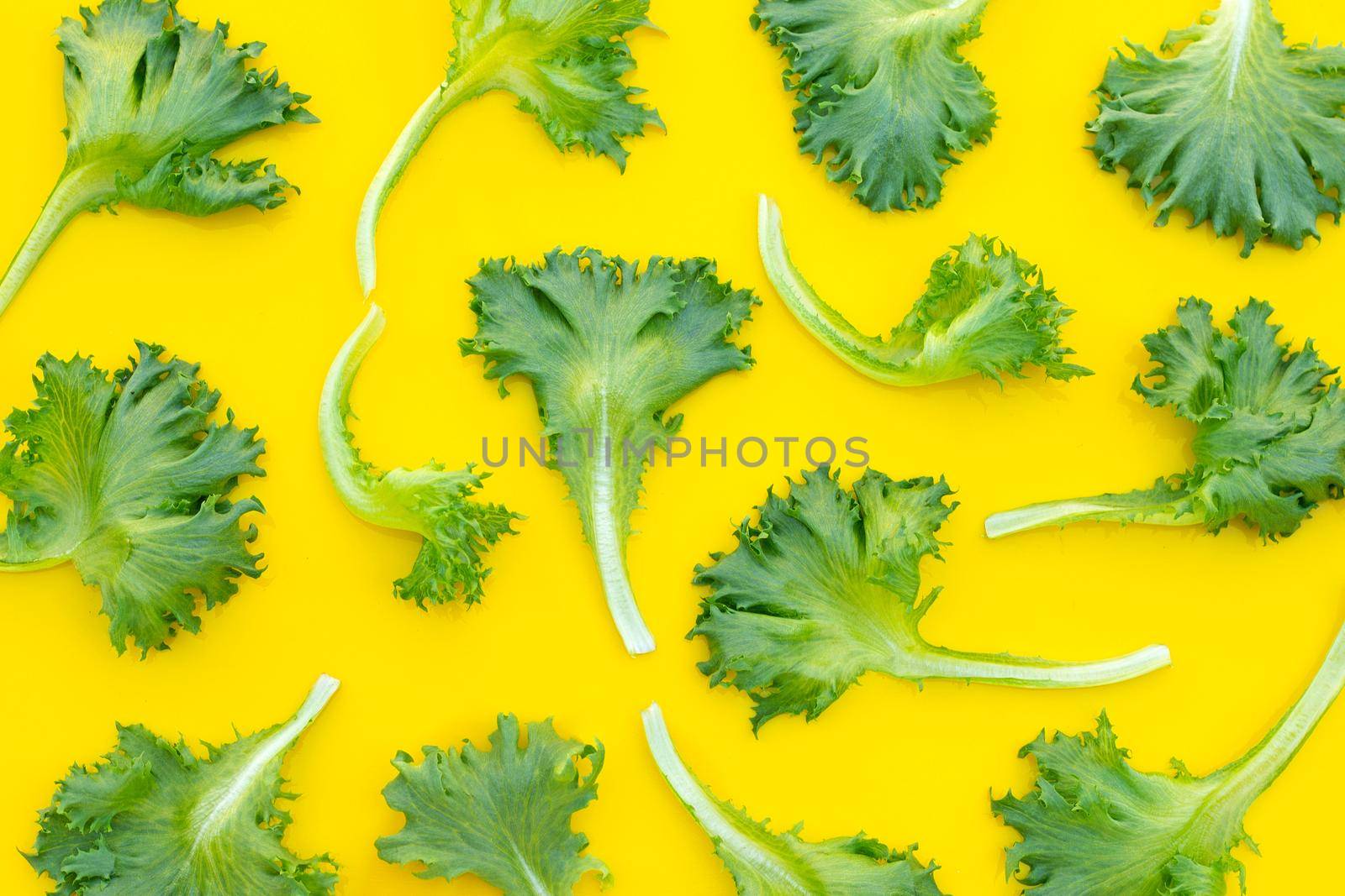 Fresh frillice iceberg lettuce on yellow background.