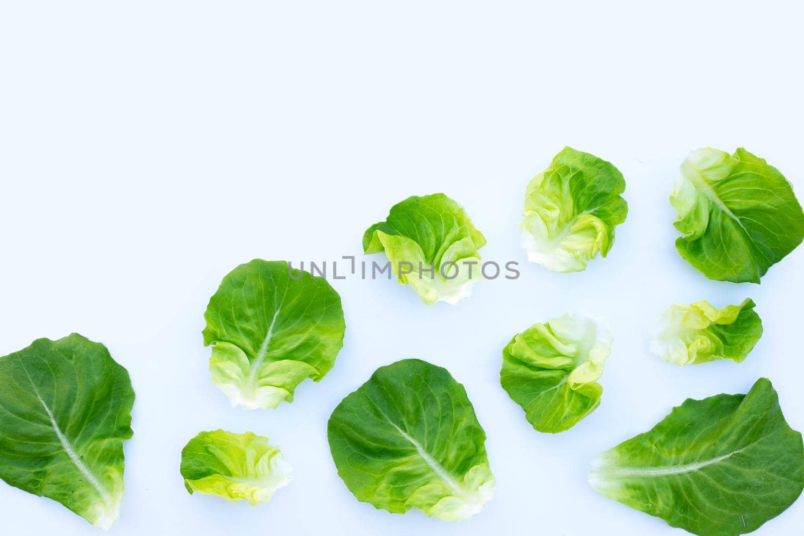 Lettuce leaves on blue background. Top view