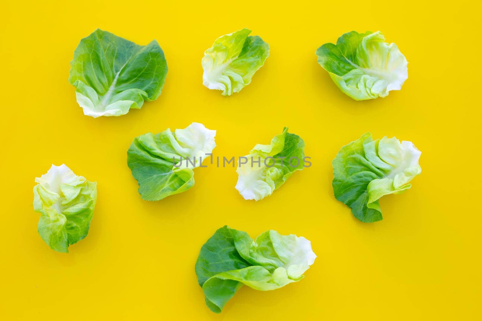 Lettuce leaves on yellow background. Top view