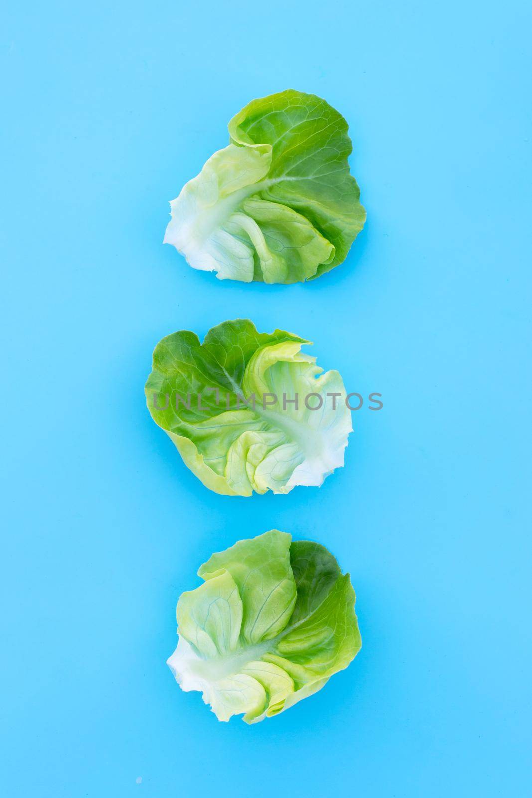 Lettuce leaves on blue background. Top view by Bowonpat