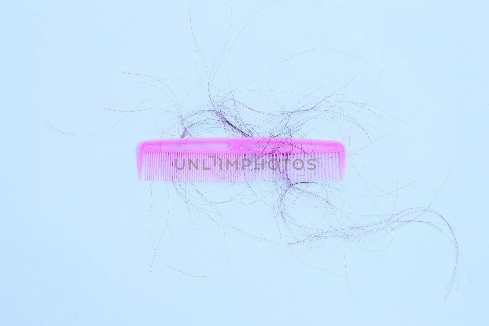 Hairs loss fall in comb on white background.