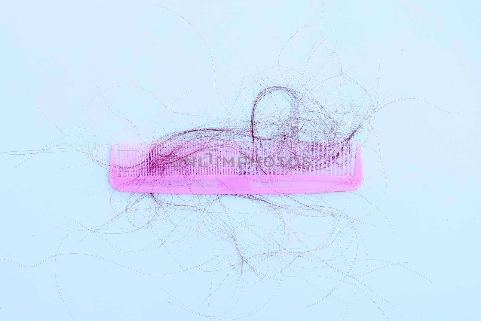 Hairs loss fall in comb on white background.