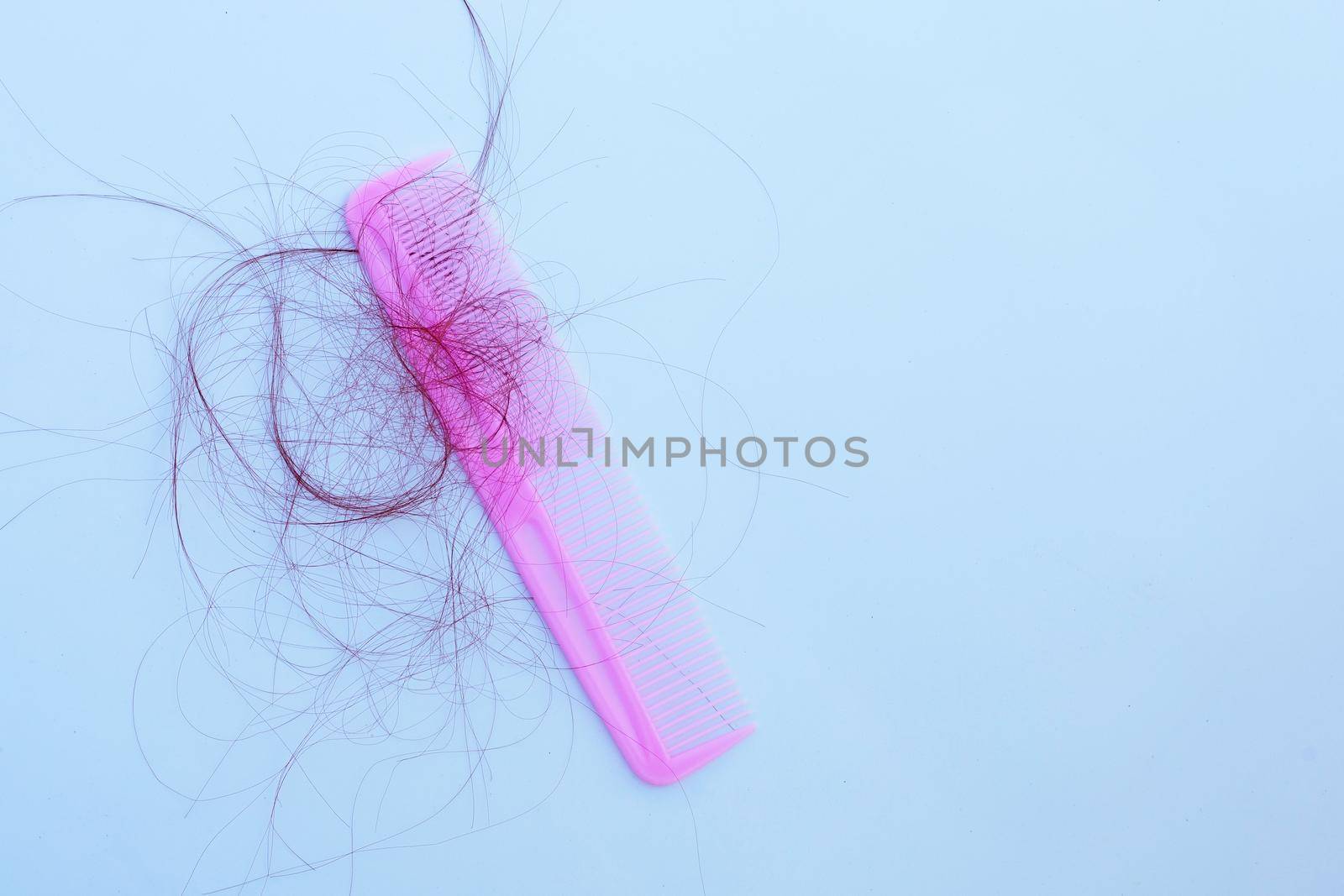 Hairs loss fall in comb on white background.