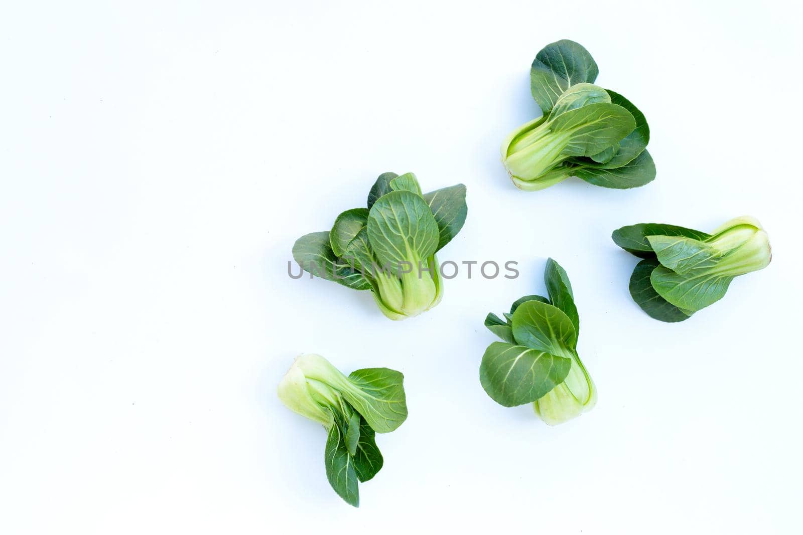 Bok choy on white background.
