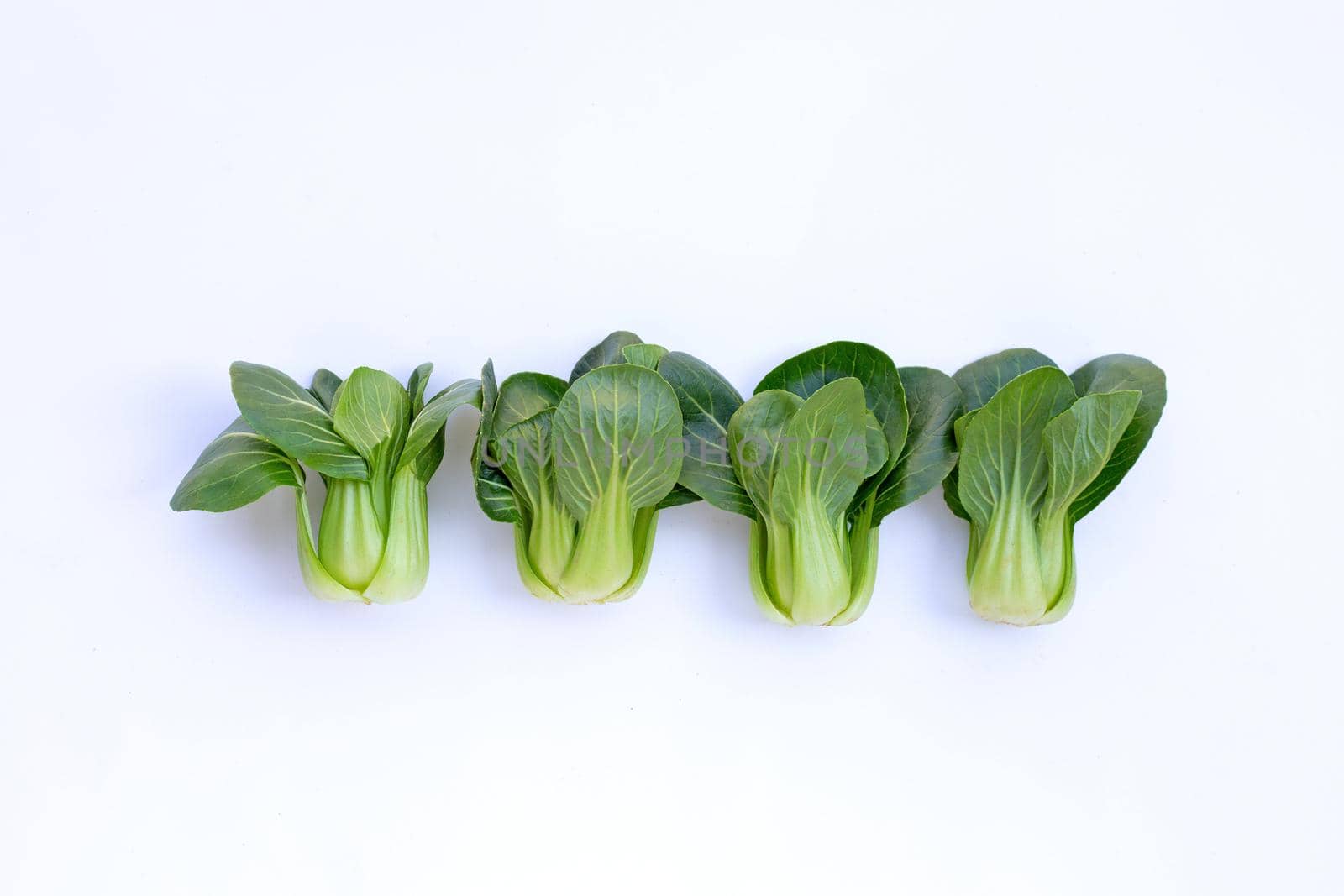 Bok choy on white background.