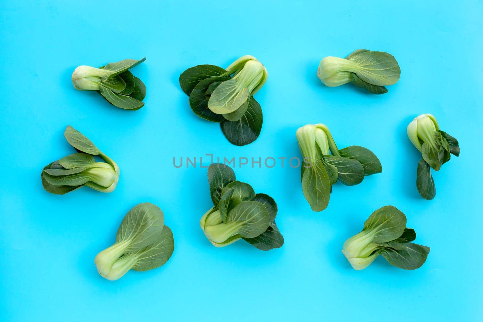Bok choy on blue background.