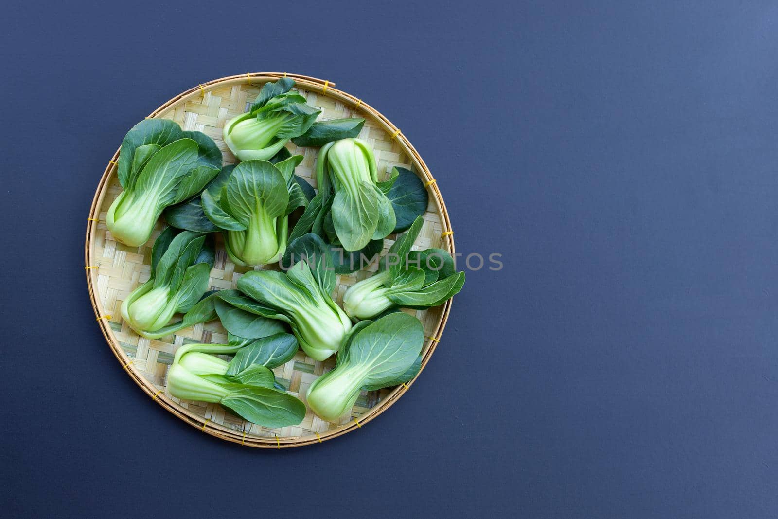 Bok choy on dark background.