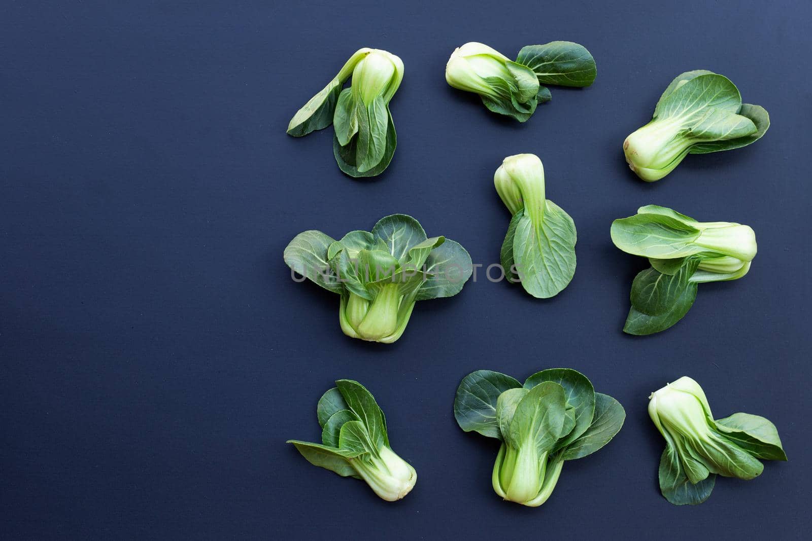 Bok choy on dark background. Copy space